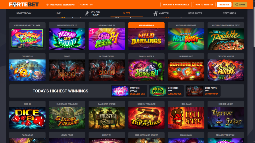 Muhtasari wa Michezo ya Slot